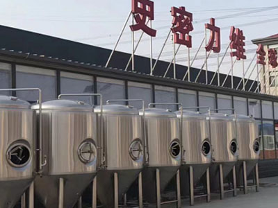 矿区精酿啤酒设备厂—市场规模与跨界新需求